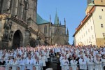 Der Papst zu Gast in Erfurt